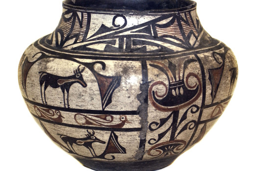 Zuni Pot Museum Lecturer