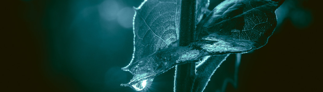 Miranda Marsh The Pierced Heart2024