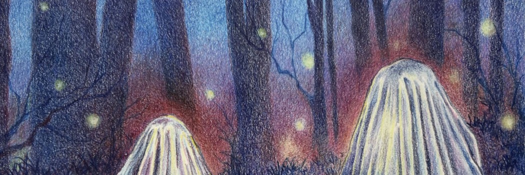 WEB3Crawford Fireflies