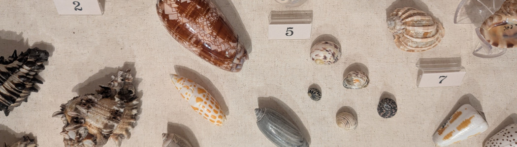 WTBI website image 2