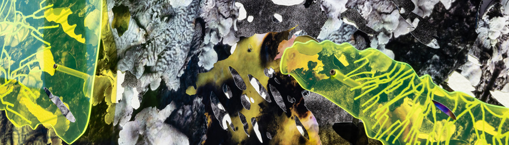 Web banner Nicole Condon Shih2025 TS Love Is Resistance 52