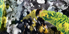 Web banner Nicole Condon Shih2025 TS Love Is Resistance 52