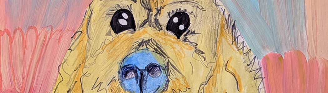 web b and g best in show